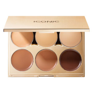 Contour Sculpting Palette