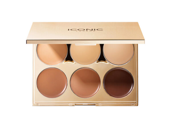 Contour Sculpting Palette