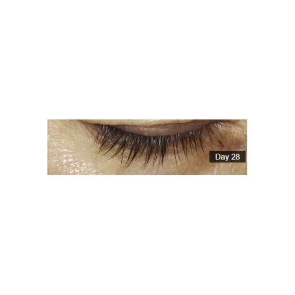 PUROBIO COSMETICS - GET BETTER TRANSPARENT MASCARA PRIMER - Image 5